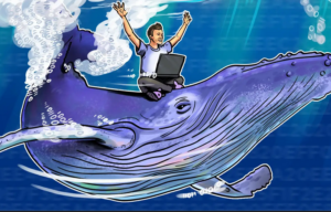 Bitcoin whales buying Bitcoin